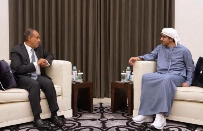 وزير الخارجية يبحث مع نظيره الإماراتي لبحث تطورات الأوضاع في غزة