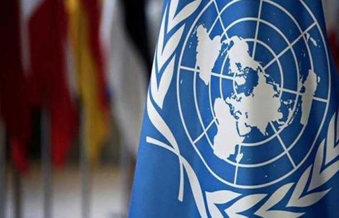 مصر تطالب الدول المؤيدة لقرار الأمم المتحدة بتضافر الجهود لتنفيذ مخرجات المؤتمر