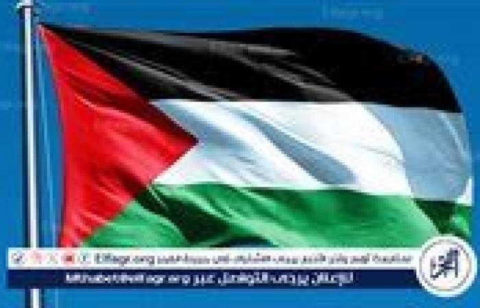 فلسطين ترحب باعتماد الجمعية العامة للأمم المتحدة "إعلان نيويورك" بأغلبية ساحقة حول حل الدولتين