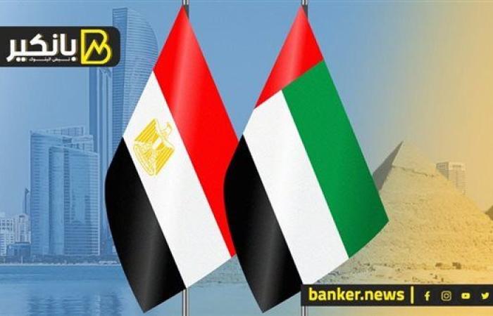 استثمار إماراتي ضخم.. مفاجأة جديدة في قطاع التجزئة المصري