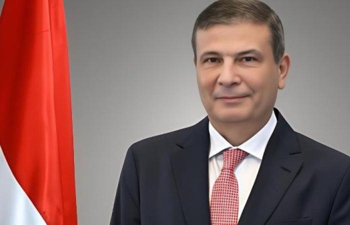 إنجاز مصري مزدوج في قطاع الخيول يعزز الثقة الدولية ويفتح آفاق التصدير العالمي