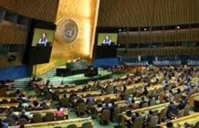 البرلمان العربي يرحب باعتماد الجمعية العامة للأمم المتحدة قرار يؤيد إعلان نيويورك بشأن حل الدولتين