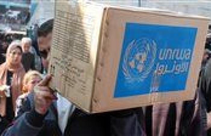 بعد الرفض المصري.. متحدث الأونروا: إسرائيل تريد تهجير سكان غزة برا وجوا