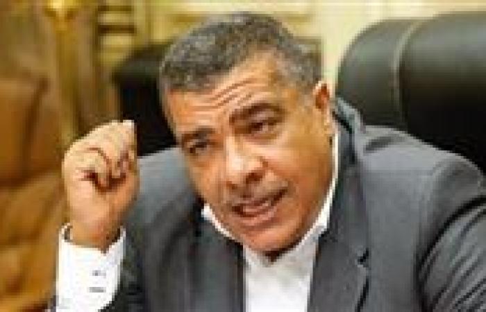 معتز محمود: القمة العربية والإسلامية بالدوحة خطوة لتوحيد الموقف العربي ضد سياسات الاحتلال