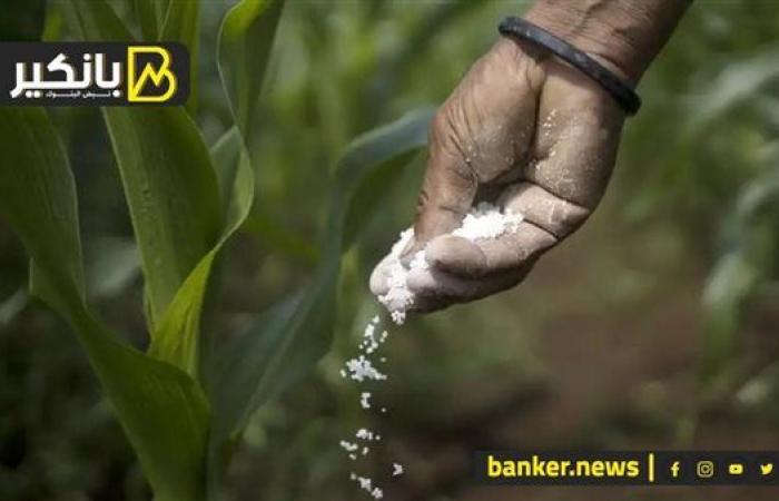 3 دول كبرى مهتمة بالاستثمار في مصر.. اجتماع مهم مع شنايدر.. وانخفاض مفاجيء للذهب