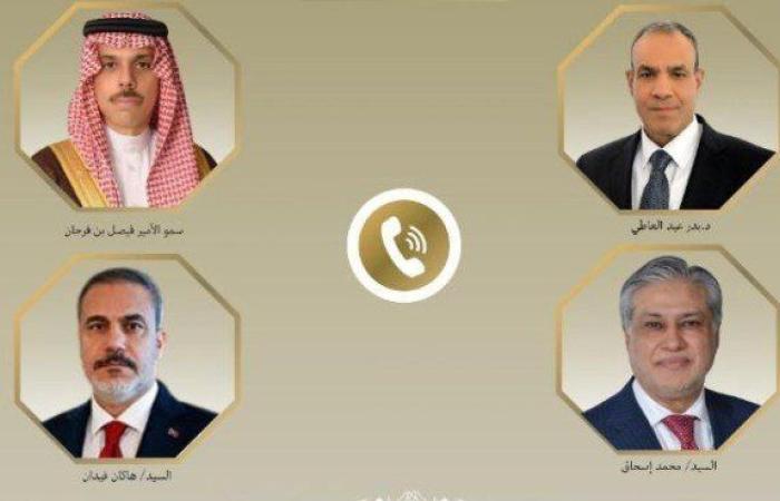 وزراء خارجية مصر والسعودية وباكستان وتركيا يؤكدون أهمية التضامن والتنسيق قبيل قمة الدوحة