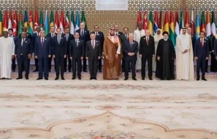 كريمة عوض: القمة العربية الإسلامية هدفها رد عربي موحد على قصف إسرائيل لقطر