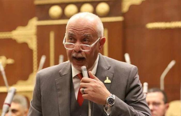 نائب: قرار الأمم المتحدة بتأييد تنفيذ حل الدولتين يمثل انتصارا كبيرا للقضية الفلسطينية