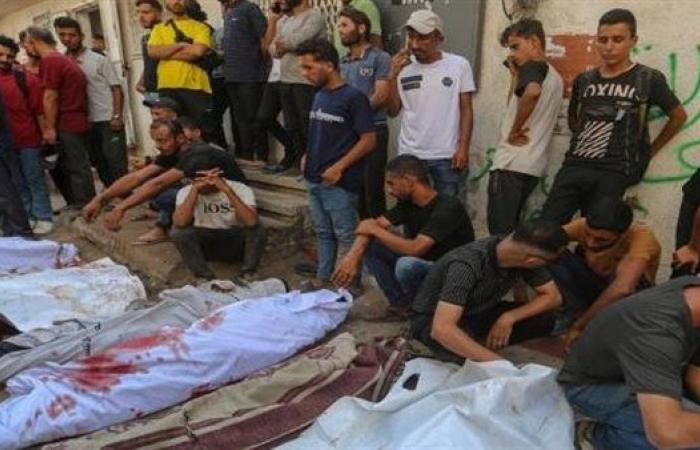 استشهاد 12 فلسطينيًا برصاص الاحتلال الإسرائيلي على قطاع غزة