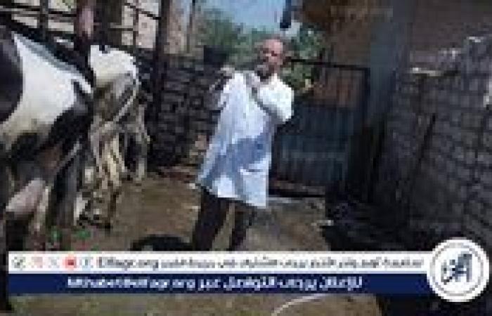 محافظ الفيوم يشيد بجهود الطب البيطري في تحصين الثروة الحيوانية وضبط لحوم غير صالحة للاستهلاك