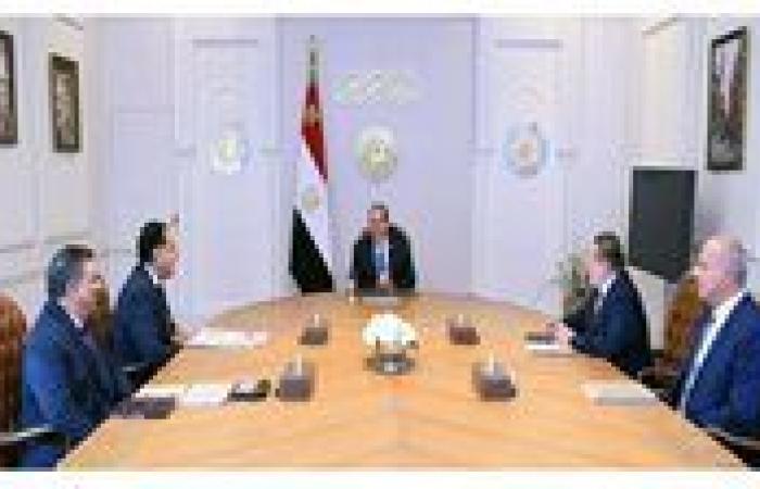 السيسي يوجه بزيادة الاحتياطي النقدي والعمل بنظام سعر الصرف المرن