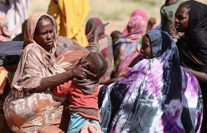 الاستعلام عن نتيجة القبول للجامعات السودانية 2025 خطوة بخطوة