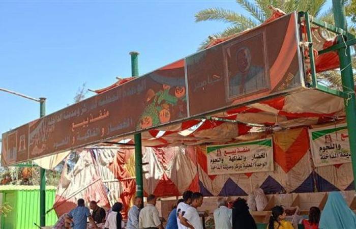 صور..  مشروعات تنموية وخدمية جديدة في الوادي الجديد