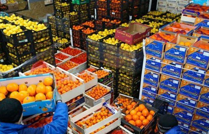 مصر بتأكل العالم.. 4 مليار دولار في خزينة مصر والسر في الخضار والفاكهة.. إيه الحكاية؟