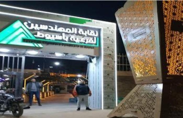 القضاء الإداري يقضي بعدم الاختصاص في الطعن على انعقاد الجمعية العمومية غير العادية لـ «مهندسين أسيوط»