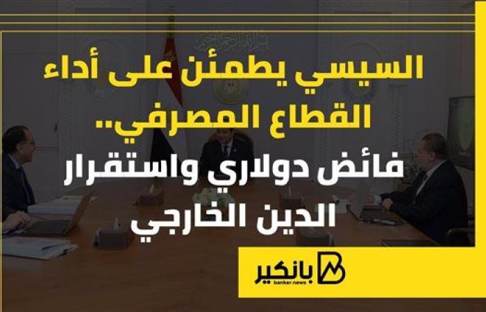 السيسي يطمئن على أداء القطاع المصرفي.. فائض دولاري واستقرار الدين الخارجي |إنفوجراف