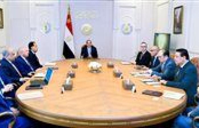 الرئيس السيسى يؤكد أهمية تعزيز التعاون مع «سكاتك» و«صنجرو»