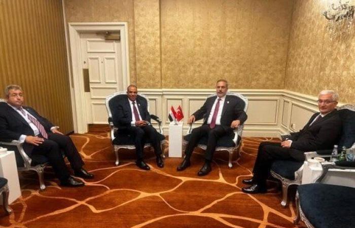 وزير الخارجية ونظيره التركي يؤكدان ضرورة الوقف الفوري للحرب الإسرائيلية على قطاع غزة