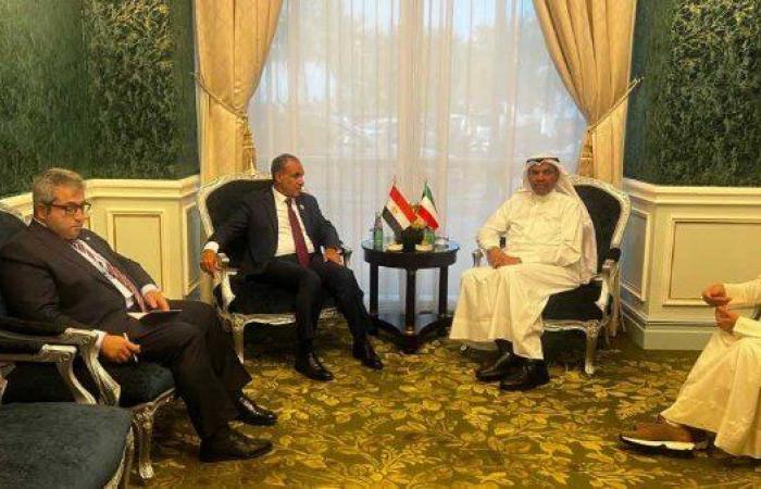 مصر و الكويت تشددان على رفض أي اعتداء على سيادة الدول العربية