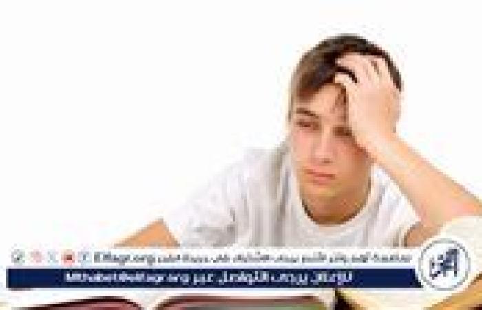 لانش بوكس متكامل: أفضل وجبات تمنح طفلك الطاقة والتركيز
