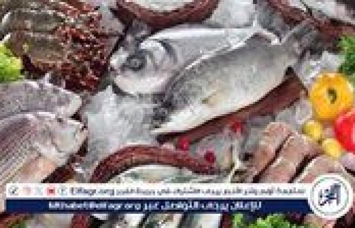 أسعار السمك البلطي والبوري اليوم الاثنين 15-9-2025 في محافظة قنا
