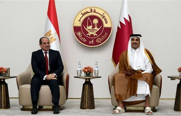 الرئيس السيسي للأمير تميم: مستعدون لتقديم كافة أشكال الدعم والمساندة لصون سيادة قطر