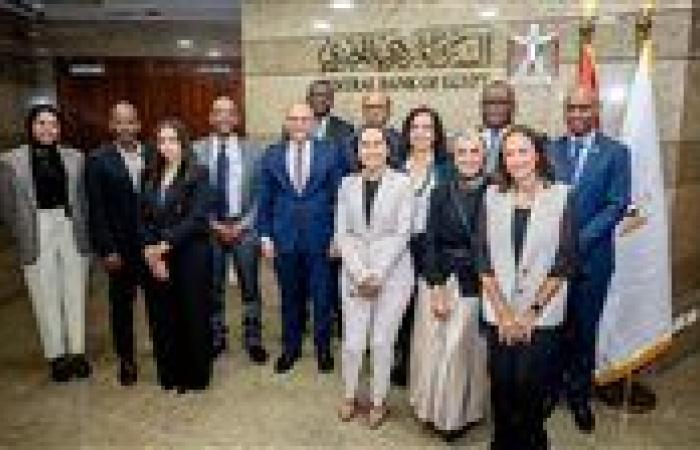 البنك المركزي المصري يستضيف الاجتماع الأول لمجموعة عمل تقرير الاستقرار المالي الإفريقي
