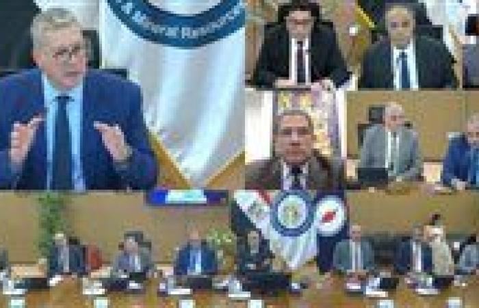 تداول 74 مليون برميل زيت خام بميناء الحمراء البترولي خلال 2024-2025