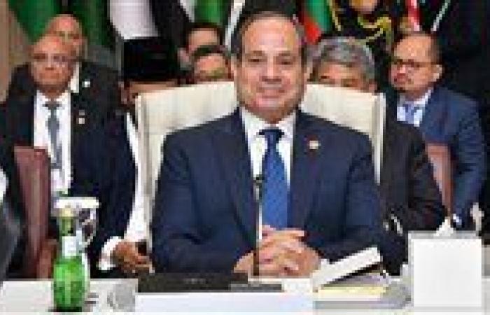 الرئيس السيسي يحذر إسرائيل من السلوك المنفلت والمزعزع للاستقرار الإقليمي