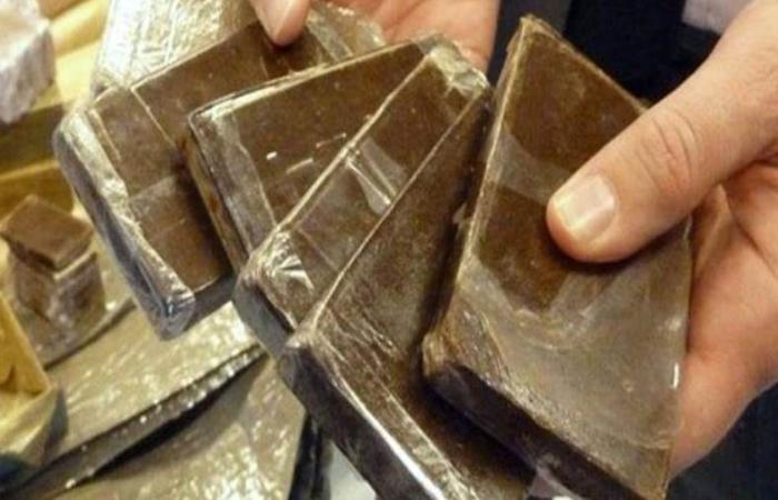 الأمن يضبط شقيقين بحوزتهما 17 كيلو مخدرات وأسلحة نارية على دائري الفيوم