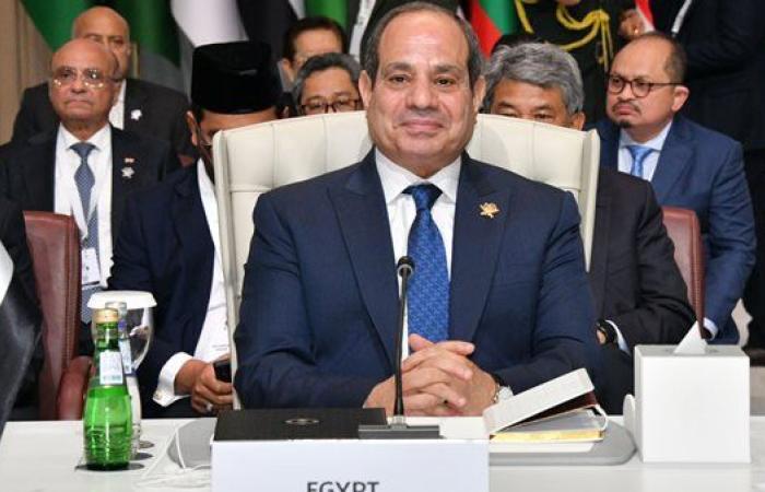 السيسي: نتطلع أن يمثل مؤتمر حل الدولتين فى نيويورك محطة مفصلية للقضية الفلسطينية