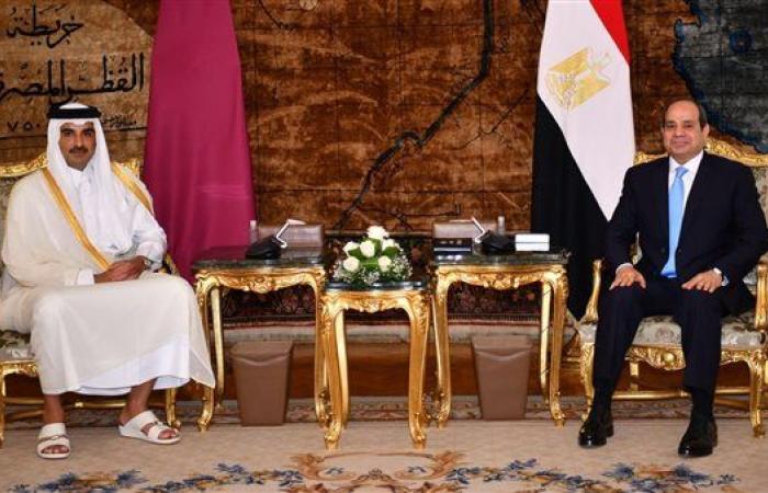 مصر وقطر تؤكدان ضرورة الوقف الفوري لإطلاق النار في غزة وترفضان تهجير الفلسطينيين