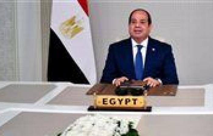 السيسي وأردوغان يؤكدان أهمية التنسيق المشترك لإستعادة الاستقرار الإقليمي