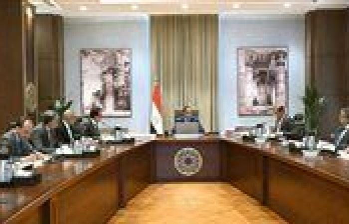 مدبولي يُتابع الجهود المبذولة لطرح الفرص الاستثمارية المتاحة في قطاع الصحة