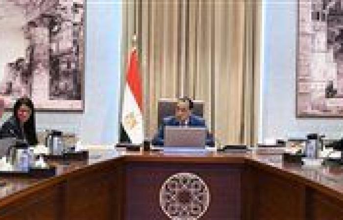 رئيس الوزراء يتابع جهود فض التشابكات المالية مع بنك الاستثمار القومي