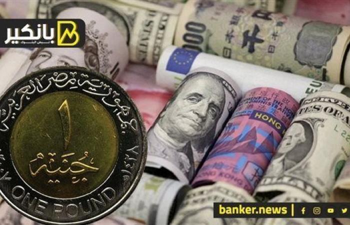 سر طلب السيسي بزيادة الاحتياطي النقدي لمصر.. ...