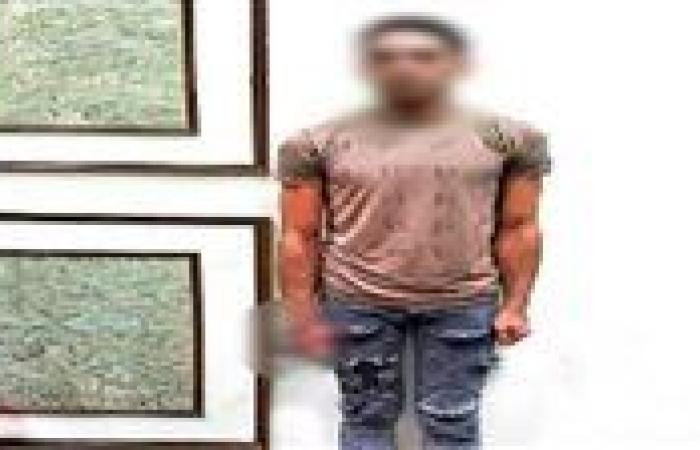 القبض على طارق ميشو لنشر فيديوهات خادشة للحياء.. التفاصيل الكاملة