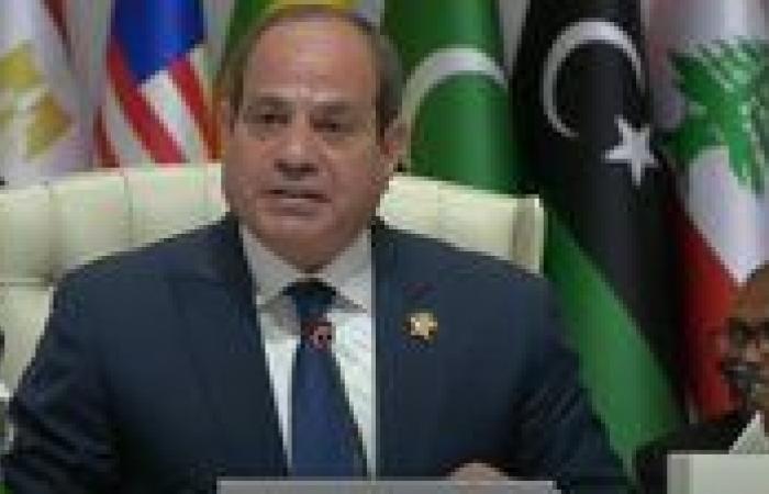 النائب محمد تيسير مطر: كلمة السيسي في قمة الدوحة خارطة طريق لمواجهة الأزمات والعدوان الإسرائيلي