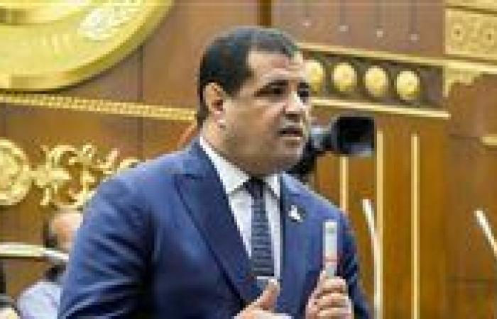 النائب مصطفي الكحيلي: كلمة الرئيس السيسي في قمة الدوحة  بعثت برسائل قوية تؤكد الثوابت التاريخية لمصر تجاه القضية الفلسطينية