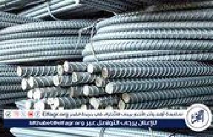 اسعار الاسمنت والحديد في أسيوط اليوم الثلاثاء 16 /9/2025