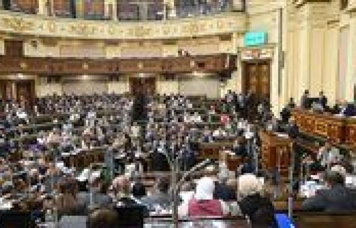 خارجية النواب: كلمة الرئيس السيسي كشفت الغطرسة الإسرائيلية وأكدت أن مصر لن تصمت