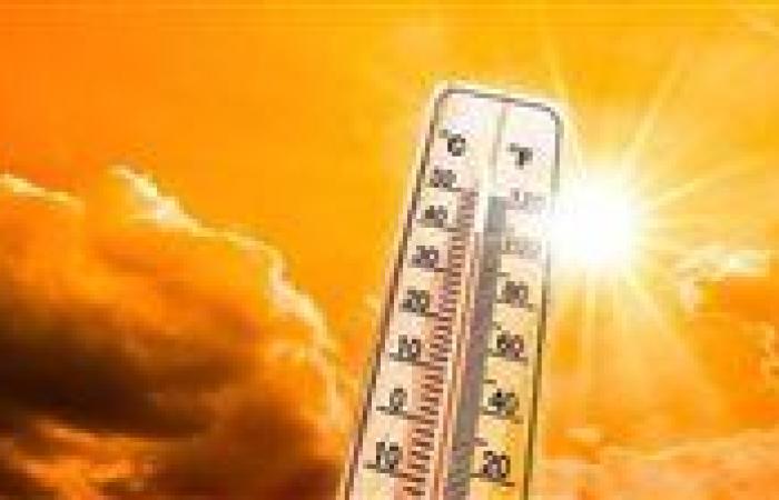 طقس مائل للحرارة.. الأرصاد الجوية تعلن درجات الحرارة اليوم الثلاثاء فى الغربية