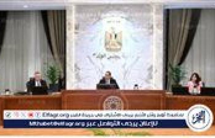 مدبولي يبحث مع نائب رئيس الوزراء الروسي تعزيز التعاون بين البلدين في 7 مجالات
