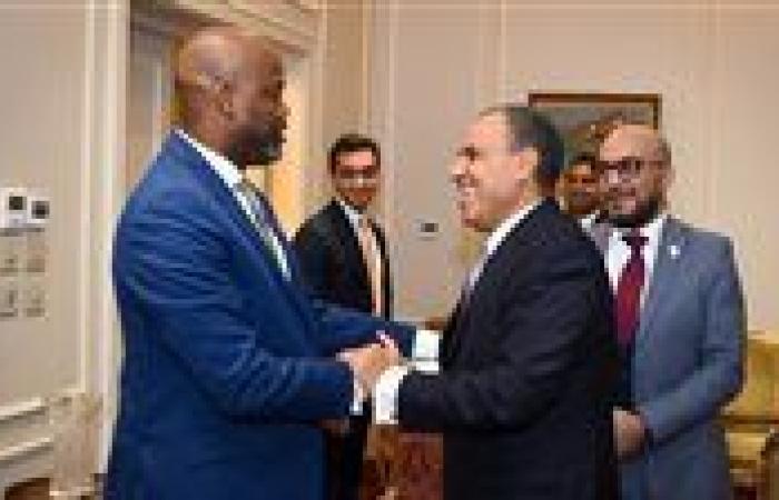 مصر تجدد التزامها بدعم اتفاقية التجارة الحرة الأفريقية لتعزيز التكامل القاري
