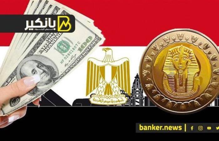 الجنيه على موعد مع قفزة أمام الدولار.. والاقتصاد ...