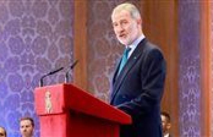 الملك فيليب السادس: إسبانيا ومصر تتشاطران رغبةً راسخةً في التعايش السلمي