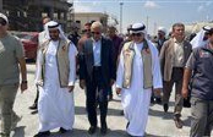 وفد إماراتي رفيع المستوى يستقبل سفينة مساعدات من أبو ظبي في ميناء العريش
