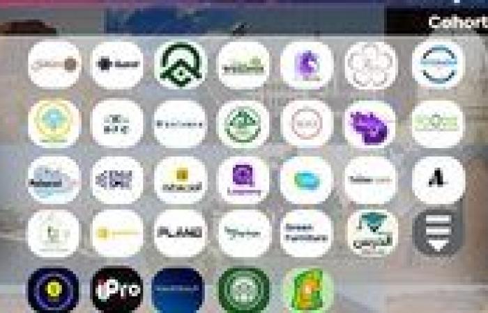 مركز الإبداع التكنولوجي يعلن اختيار 33 شركة جديدة في برنامج كرياتيفا للاحتضان