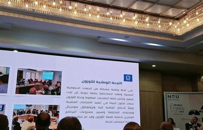 شئون البيئة: "اتفاقية فيينا نموذج ناجح للتعاون الدولى نسعى لتكراره"
