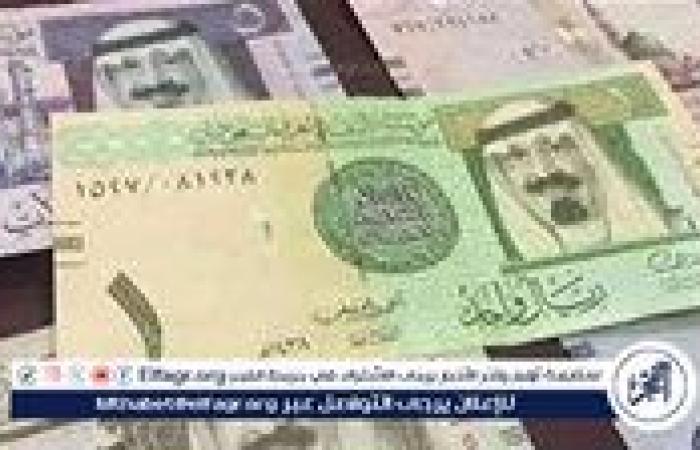 استقرار سعر الريال السعودي أمام الجنيه المصري اليوم الثلاثاء 16 سبتمبر 2025